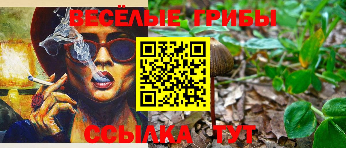 Галлюциногенные грибы Psilocybine cubensis  Вход с VPN  Добрянка  Галлюциногенные грибы MAGIC MUSHROOMS 